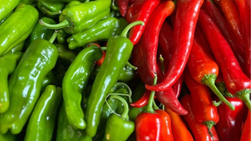 Batı Akdeniz ihracatında zirve değişti: 2025’in şampiyonu biber oldu