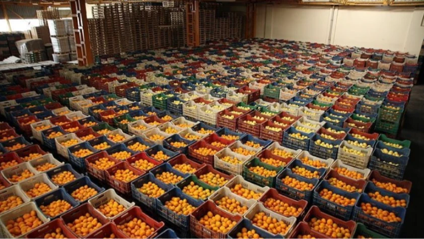 Batı Akdeniz'in ihracatı yüzde 7 arttı! En çok Almanya'ya satıldı
