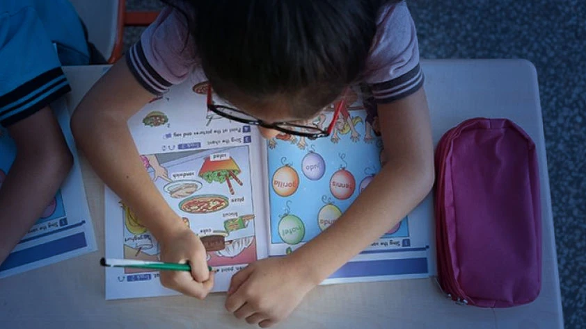 'Bilinçli tüketici' dersi ilköğretim müfredatına giriyor