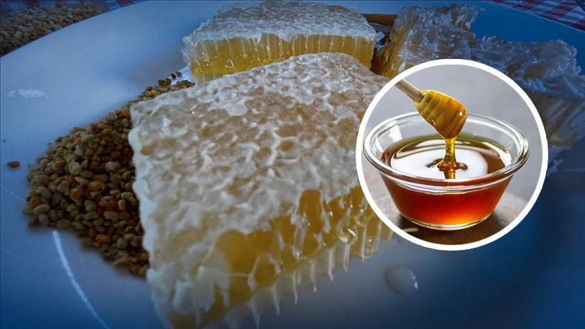 Bir ürün daha AB'den coğrafi işaret tescili aldı! Toplam sayı 43'e yükseldi