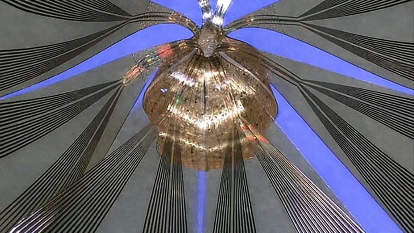 Biyoelektronikte yeni dönem: Organoidler 3D taranıyor