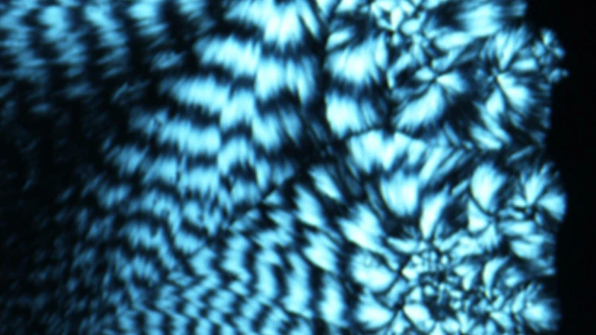 Biyohibrid veri depolama: Gram başına 215 milyon GB