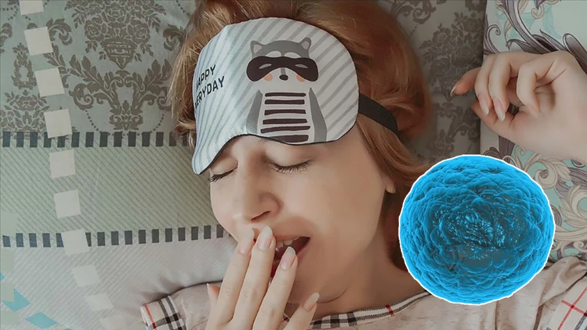 Biyolojik saate göre titreşen yapay hücre geliştirildi