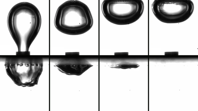 Biyoreaktörlerde verimliliği 1000 kat artıran membran