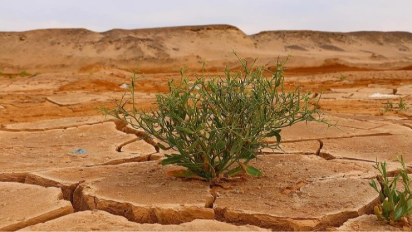 BM İklim Değişikliği Konferansı Brezilya'da yapılacak!