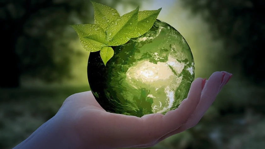 Bugün 30 Mart Uluslararası Sıfır Atık Günü