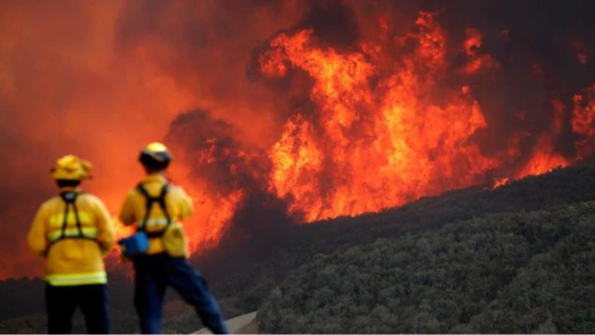 California'ndaki yangınlar 22 bin hektar alanı kapladı