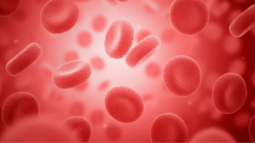 Canlı hücreler parlıyor: Yeni protein sensörü geliştirildi Canlı hücreler parlıyor: Yeni protein sensörü geliştirildi