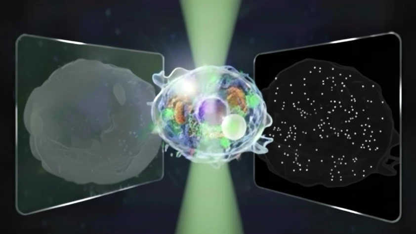 Canlı hücreler için yeni göz: 14 kat güçlü mikroskop