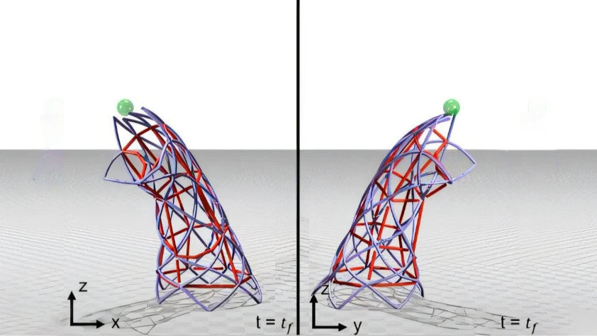 Canlı kaslarla çalışan ‘Biyohibrit robotlar’ egzersizle daha da güçlenecek