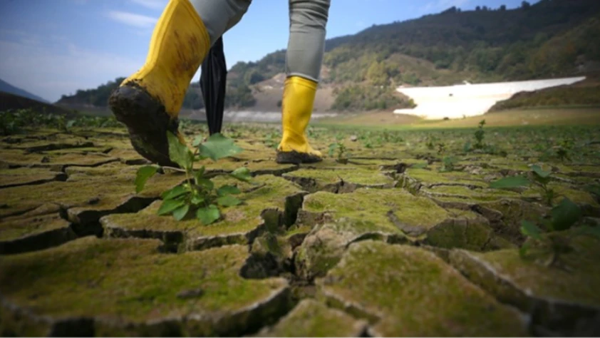 Çevreyi korumanın maliyeti belli oldu! 441 milyar lira harcandı