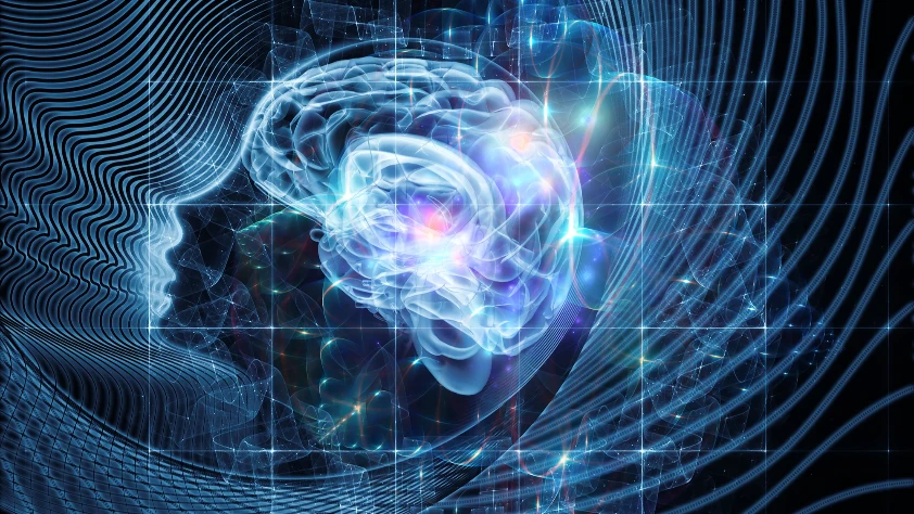 ChatGPT’de bilinç var mı?: Arılardan algoritmalara 'duyarlılık' sınavı