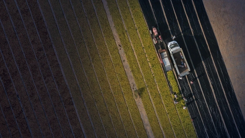 Çiftçi ve esnafa yönelik düşük faizli finansman paketi: İşte 5 soruda yeni düzenleme...