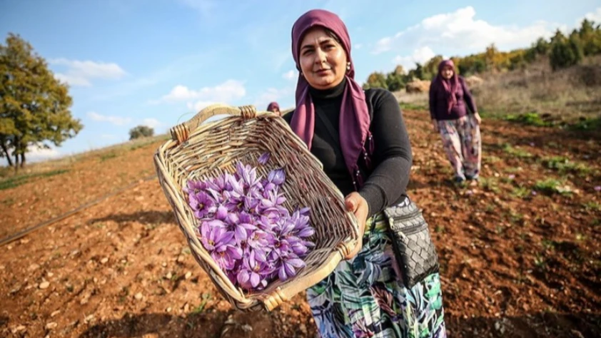 Çiftçiler kuraklığa karşı yeni önlem aldılar!