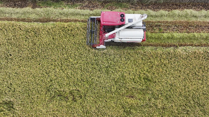 Çiftçilere 149,6 milyon liralık destek ödemesi bugün hesaplara yatıyor