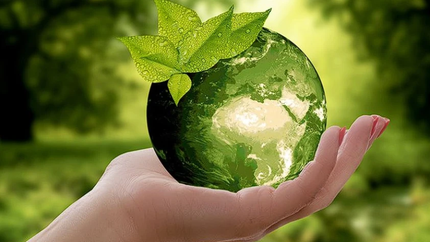 COP31 öncesi ABD trafiği: Sıfır Atık Vakfı’ndan uluslararası görüşmeler