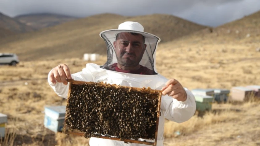 Dede mirası arıcılığı üçüncü kuşak temsilci olarak sürdürüyor Dede mirası arıcılığı üçüncü kuşak temsilci olarak sürdürüyor