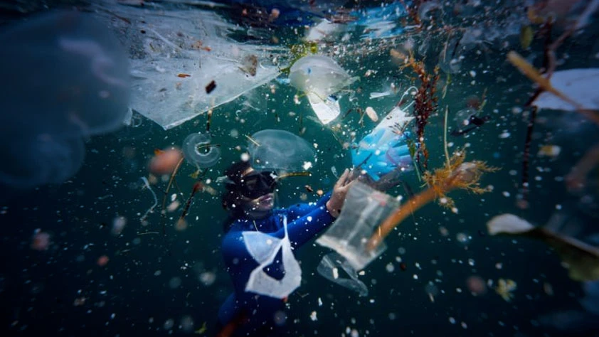 Deniz kirliliği raporu: 28 ilde 325 bin ton atık toplandı