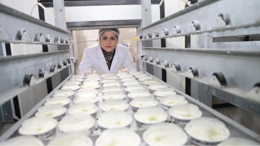 Devlet desteğini aldı! Yılda 700 ton dondurma üretiyor