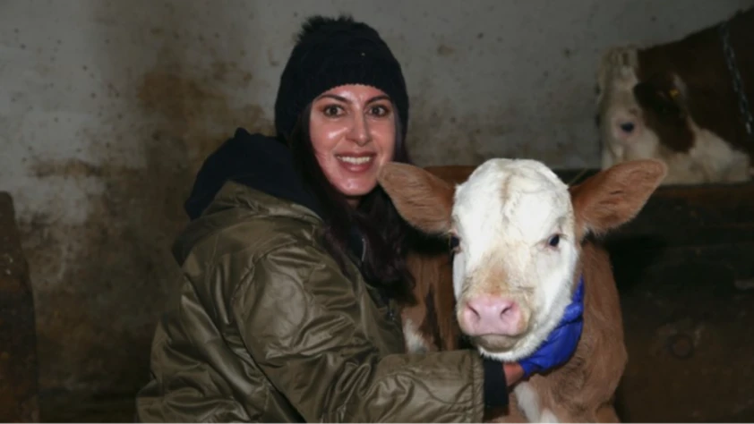 Devlet desteğiyle başladı: 3 yılda 200 başlık sürü kurdu