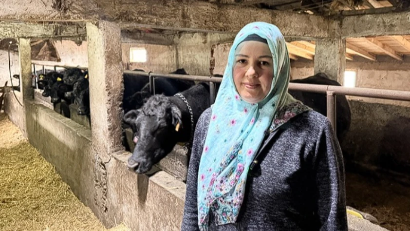 Devlet desteğiyle büyüdü: Kadın çiftçi sürüsünü ikiye katladı
