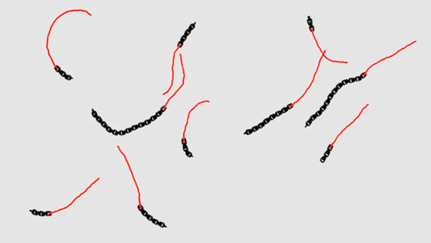 Dijital beyin yerine ‘fiziksel zeka’: Mikro robotikte yeni çığır