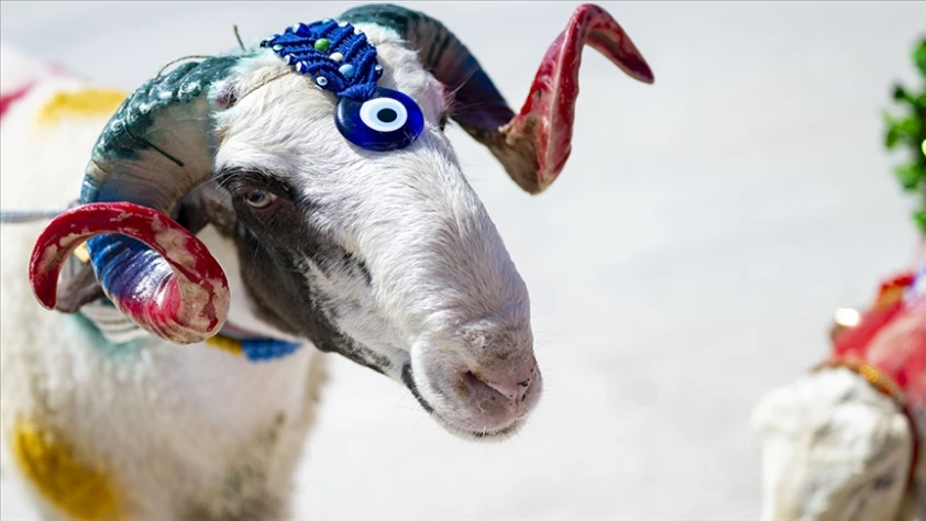 DİYANET KURBAN BAYRAMI TAKVİMİ: 2026 Kurban Bayramı hangi tarihlere denk geliyor?