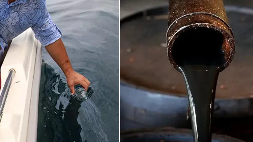 Doğu Karadeniz'de petrol heyecanı: Olumlu sonuçlar çıktı