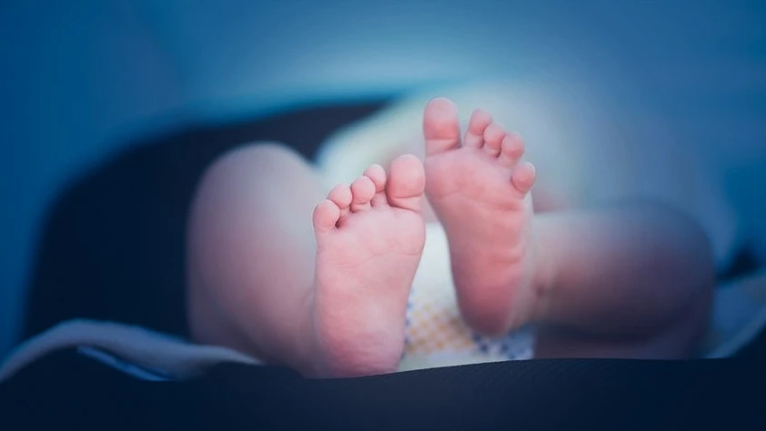 Doğum izni 24 haftaya çıkıyor: Yeni düzenleme Meclis yolunda