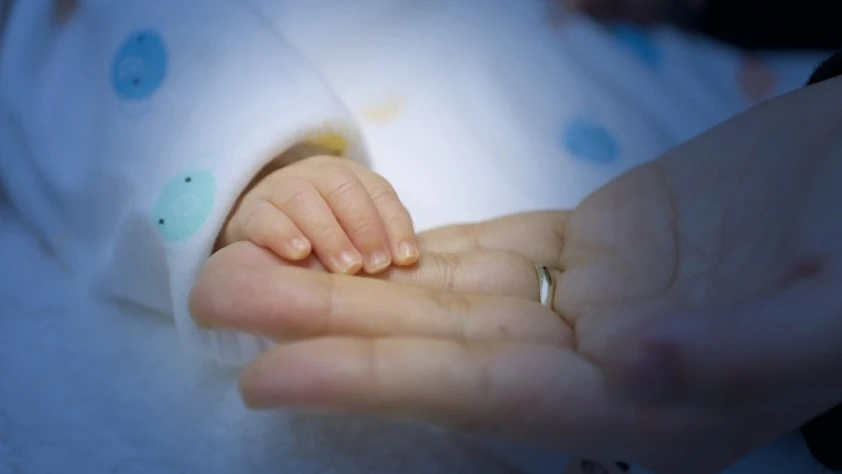 Doğum izni 24 haftaya mı çıkıyor? Son durum ne?