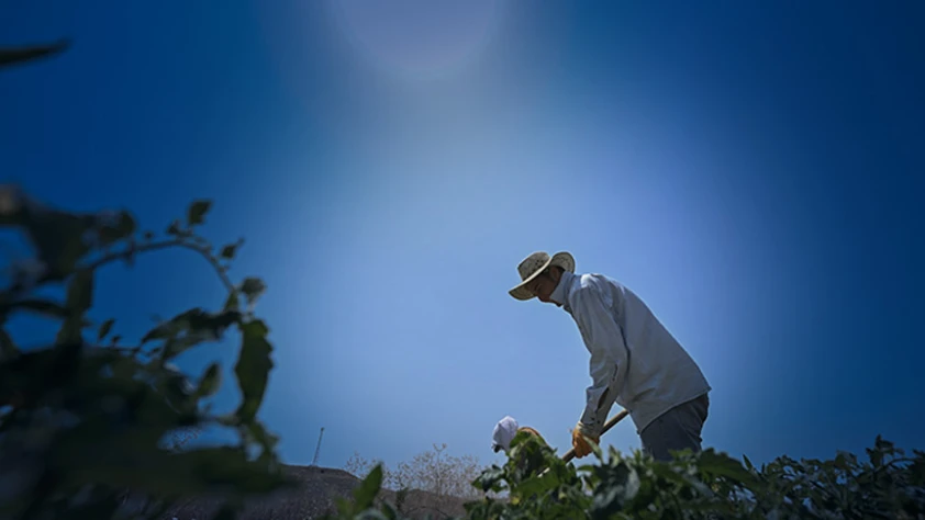 Dünya Meteoroloji Örgütü uyardı: 1 milyardan fazla kişinin geçim kaynağı tehdit altında