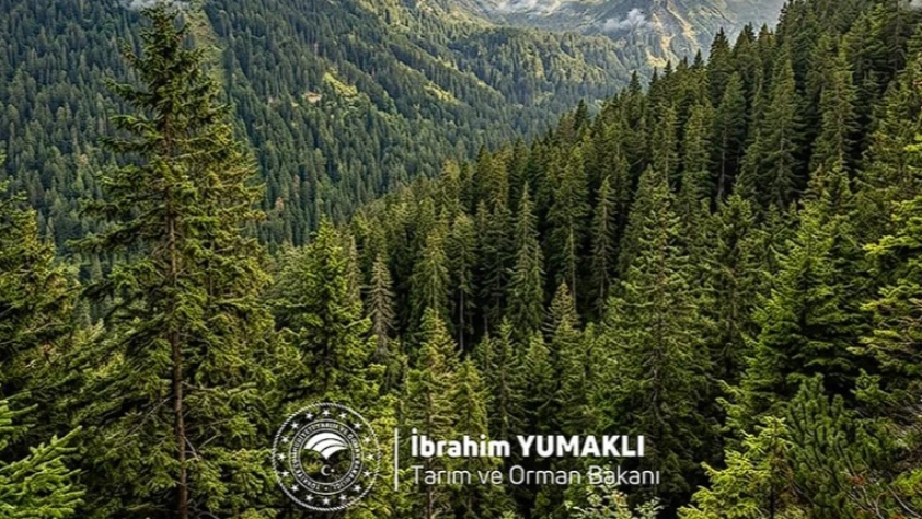 Dünya Ormancılık Günü’nde çağrı: Yeşil vatan korunacak