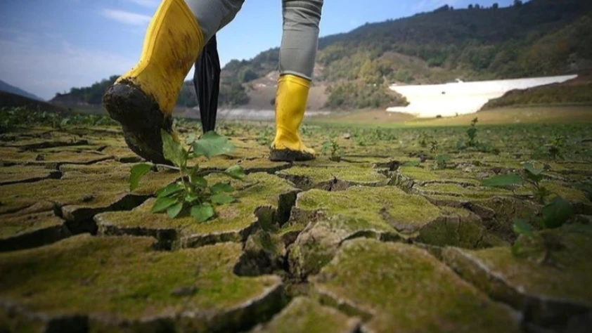 Dünyada çevre alanında 2025 böyle geçti