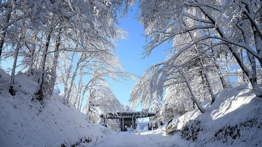 Düzce Korugöl Tabiat Parkı karla kaplandı