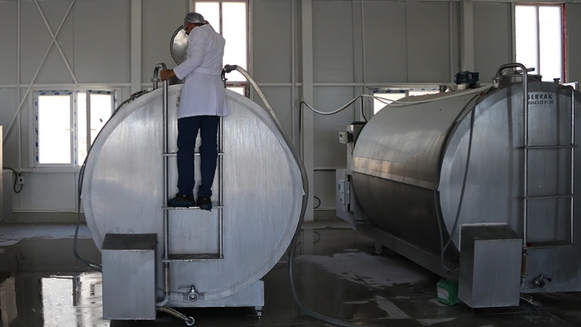 Ekimde 895 bin ton inek sütü toplandı