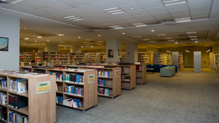 Elektronik veri tabanlarına uzaktan daha hızlı erişim