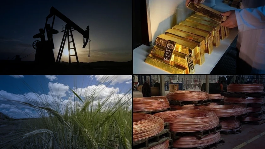 Emtia piyasasında rekor serisi: Ocak ayında tarihi zirveler tazelendi