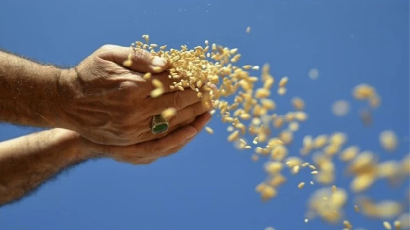 Enerji, gübre ve gıda fiyatlarında Hürmüz riski: FAO’dan sistemik şok uyarısı