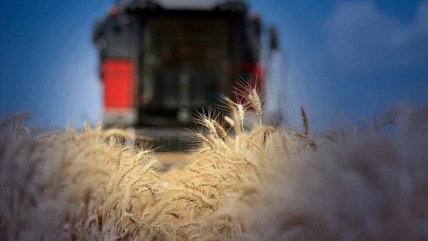 Enerji maliyetleri gıdayı vurdu: Savaşın gölgesinde küresel gıda fiyatları 6 ayın zirvesine çıktı