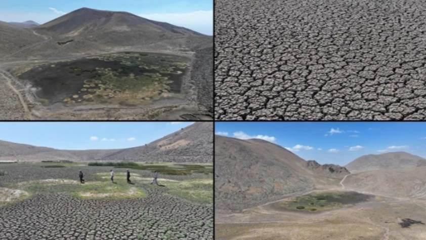 Erciyes'in eteklerinde yılkı atları, kuşlar ve koyunlara hayat veren Sarıgöl kurudu