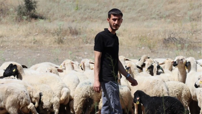 Erzincanlı genç, devlet desteğiyle kurduğu çiftlikte üretime yön verdi
