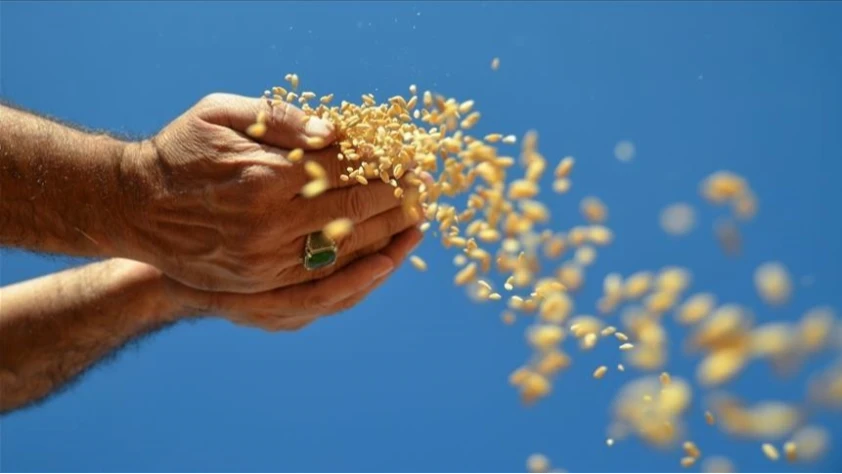 FAO: Hürmüz Boğazı'ndaki kesinti gıda güvenliğini tehdit ediyor