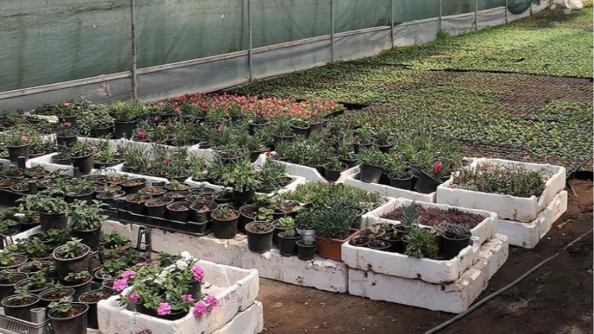 Fide sektöründe rekabet soruşturması: 18 teşebbüs ve birlik mercek altında