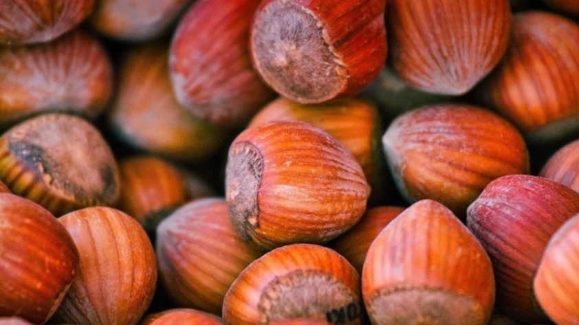 FİSKOBİRLİK Olağan Mali Genel Kurulu Giresun'da yapıldı