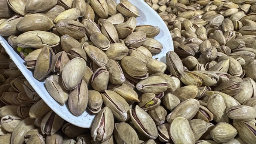 Fıstık ihracatı geriledi: İlk çeyrekte 32,8 milyon dolar gelir