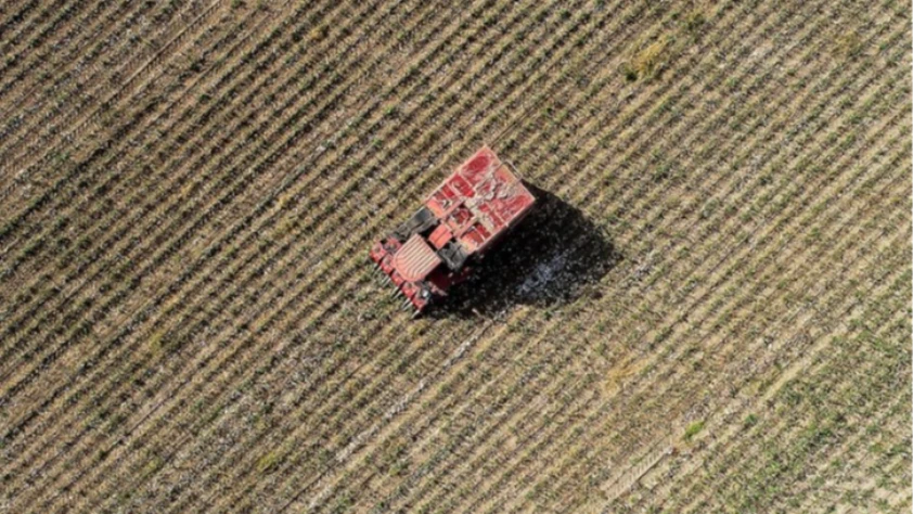 Geçen yıl 105 tarımsal amaçlı kuruluş 'birinci derece örgüt belgesi' aldı