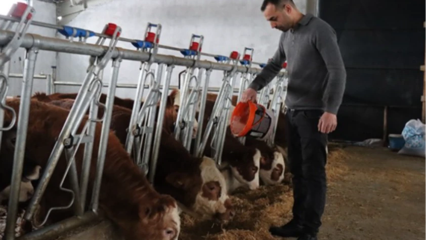 Genç girişimci devlet desteğiyle modern hayvancılığa geçti: Yüzde 50 hibeyle modern tesis