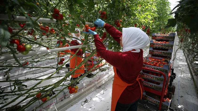 Girdi maliyetleri üreticiyi zorluyor! Bölgesel merkez hedefi için destekler sürmeli