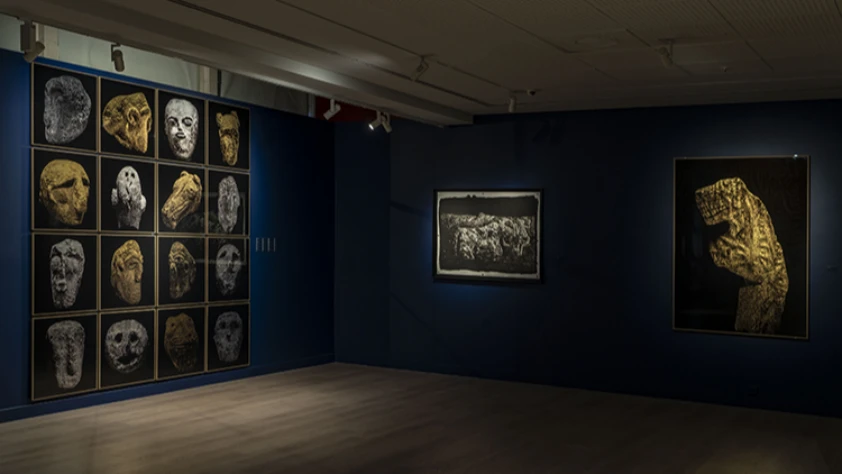 Göbeklitepe fotoğrafları Berlin'de