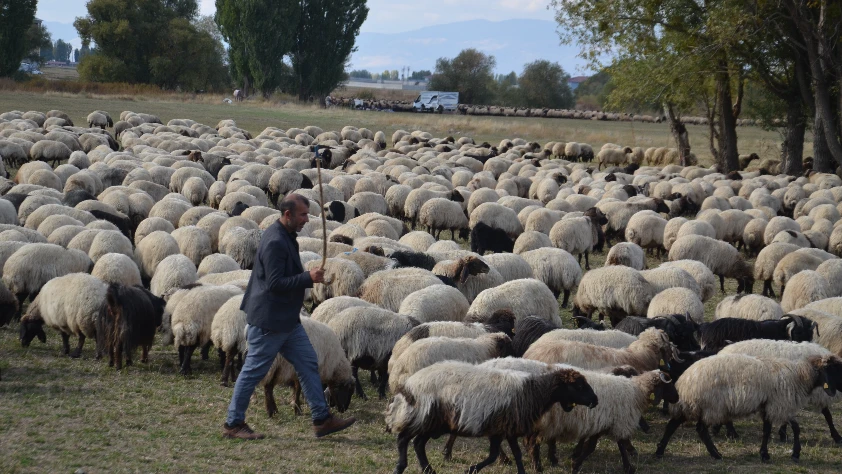 Göçerlerin yaylalardan dönüş yolculuğu başladı